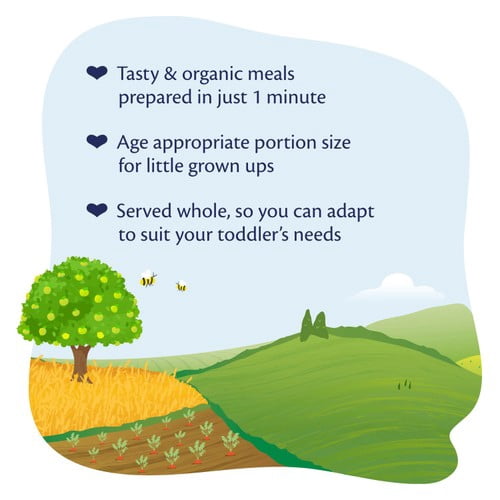 HiPP Organic Vegetable Cannelloni Toddler Tray Meal 15+ Months 250g, British Import (Pack of 2)