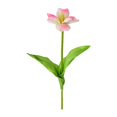 thumbnail image 2 of Guiexla Artificial Opening Tulip with Stem Realistic Colorful Fake Flower Home Office Table Centerpiece Faux Flower Branch Floral Arrangement Decoration, 2 of 8