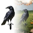thumbnail image 1 of Halloween Card Slot Sign Board Double Printing Party for Tabletop Holiday Display Stand, 1 of 5