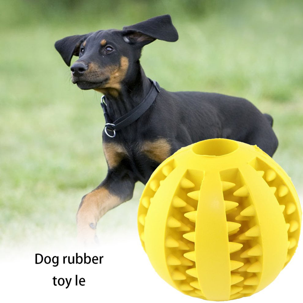 dog ball with teeth