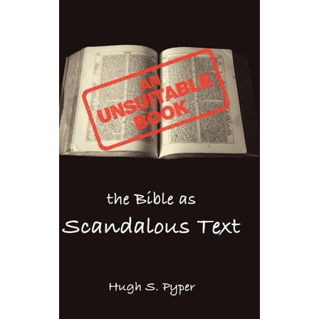 Bible in the Modern World: An Unsuitable Book (Hardcover)