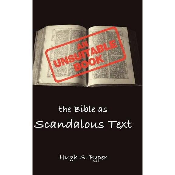 Bible in the Modern World: An Unsuitable Book (Hardcover)