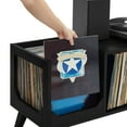 thumbnail image 4 of Crosley Furniture Asheville Low Record Storage Console in Black, 4 of 10