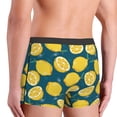 thumbnail image 5 of Fotbe Lemon Men’s Total Support Pouch Boxer Briefs, X-Temp Cooling, Moisture-Wicking Underwear, Regular, Long-leg and Trunk-XX-Large, 5 of 9