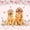 Pink Golden 02, variant on Manfei Kawaii Dalmatian Zipper Twin Comforter Sets with Fitted Sheet and 2 Pillowcases, Cartoon Rustic Dog Zipper Bedding Set, White Orange, Gray Reversible, 4pcs