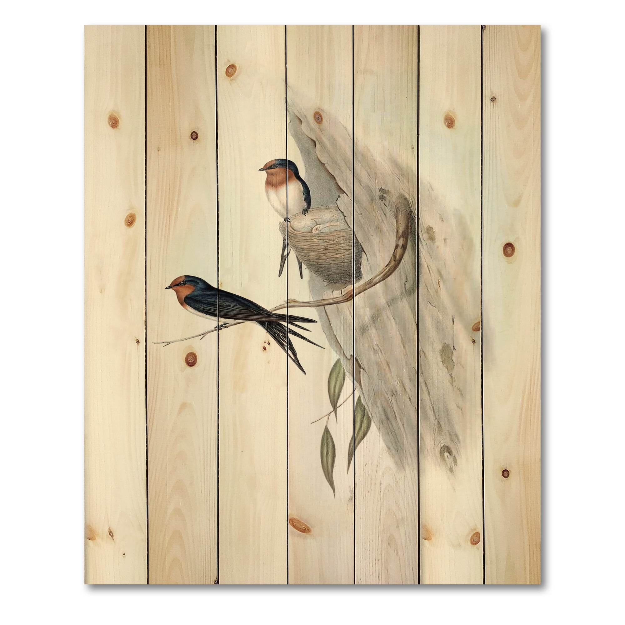 Designart 'Ancient Australian Bird Illustrations II' Traditional Print on Natural Pine Wood