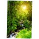 thumbnail image 5 of Tapiz 3D moderno con paisaje natural para colgar en la pared para decoración de habitaciones 5 Sunrest, 5 of 9