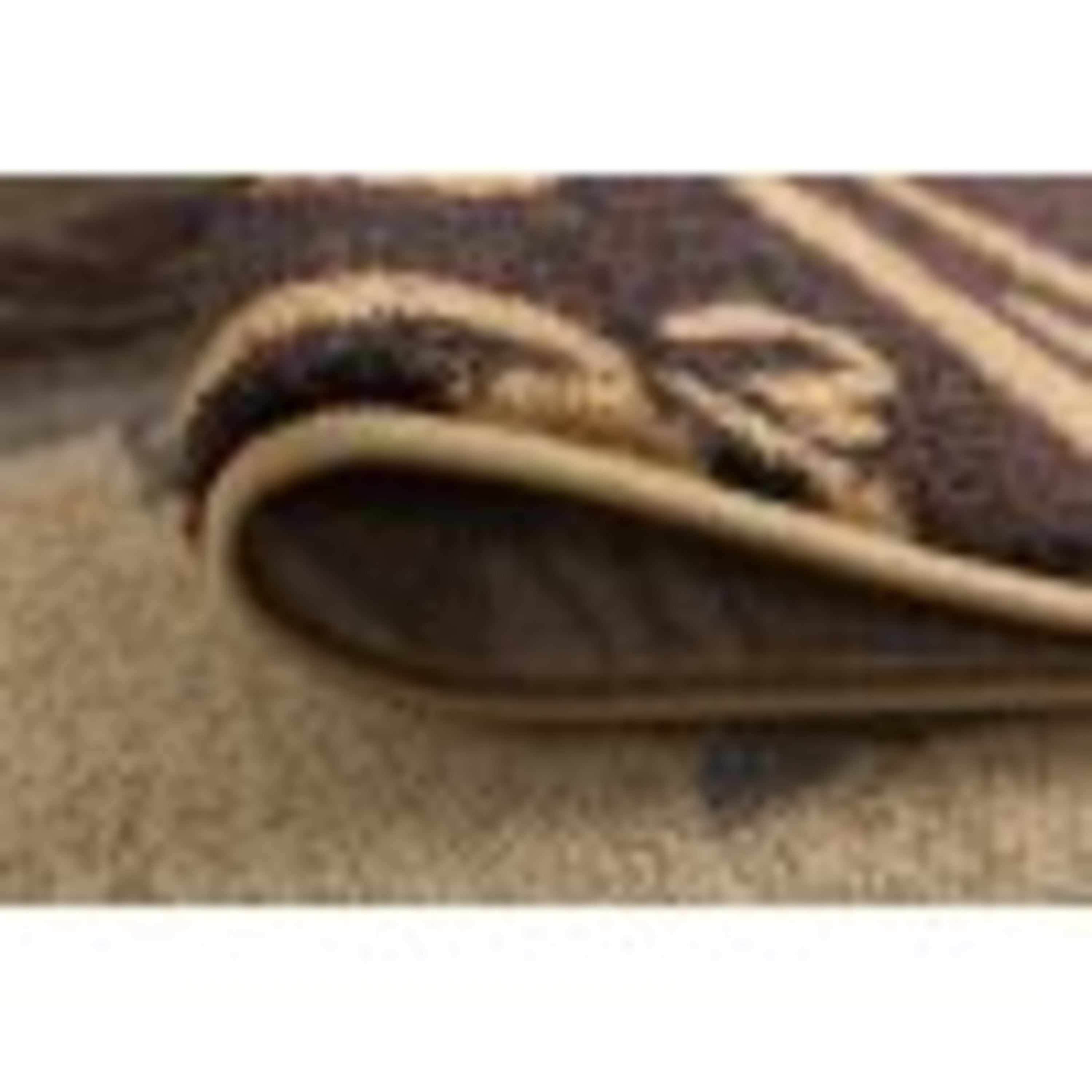Impressions Transitional 8' x 10' Multi-Color Polypropylene Indoor Area Rug