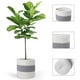 thumbnail image 5 of Cesta tejida de cuerda de algodón, cesto para ropa, contenedores de almacenamiento decorativos, organizador para 20 centímetros, 5 of 7