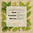 thumbnail image 3 of Jab&oacute;n L&iacute;quido Para Manos 500ml | Con Menta y T&eacute; de Lim&oacute;n (Aceites Esenciales 100% Puros) | Sin Fragancias Artificiales, Parabenos ni Ftalatos | Con Extracto, 3 of 5