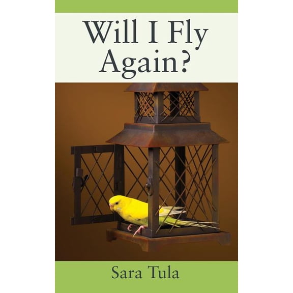Will I Fly Again?, (Paperback)