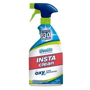Woolite® INSTAclean™ Stain Remover 1742