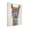 thumbnail image 2 of Trademark Fine Art 'Hippie Llama I' Canvas Art by Carolee Vitaletti, 2 of 3