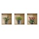 thumbnail image 5 of Calcomanías de Pared Baoblaze Decoración Multicolor 30 x 30 cm, 5 of 8