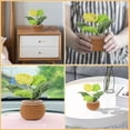 thumbnail image 5 of Deago Crochet Kit for Beginners - Crochet Starter Kit for Adults and Kids DIY Amigurumi Knitting Hooks Yarn Set with Step-by-Step Video Tutorials (Monstera Deliciosa), 5 of 7