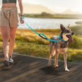 thumbnail image 4 of UBIUO Reflective Dog Collar And Leash Set,Adjustable Neoprene Padded Nylon Collars, 6 FT Heavy Duty Dog Leash 2 Comfortable Handles Safety Locking Buc, 4 of 4