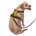 thumbnail image 2 of Naloa Cactus Flowers Pet Harness Vest with Traction Rope, Adjustable No-Choke Dog Vest for Outdoor, Walking - Small, 2 of 5