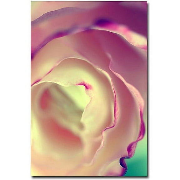 Trademark Fine Art "Flavors of Summer" Canvas Art by Beata Czyzowska Young