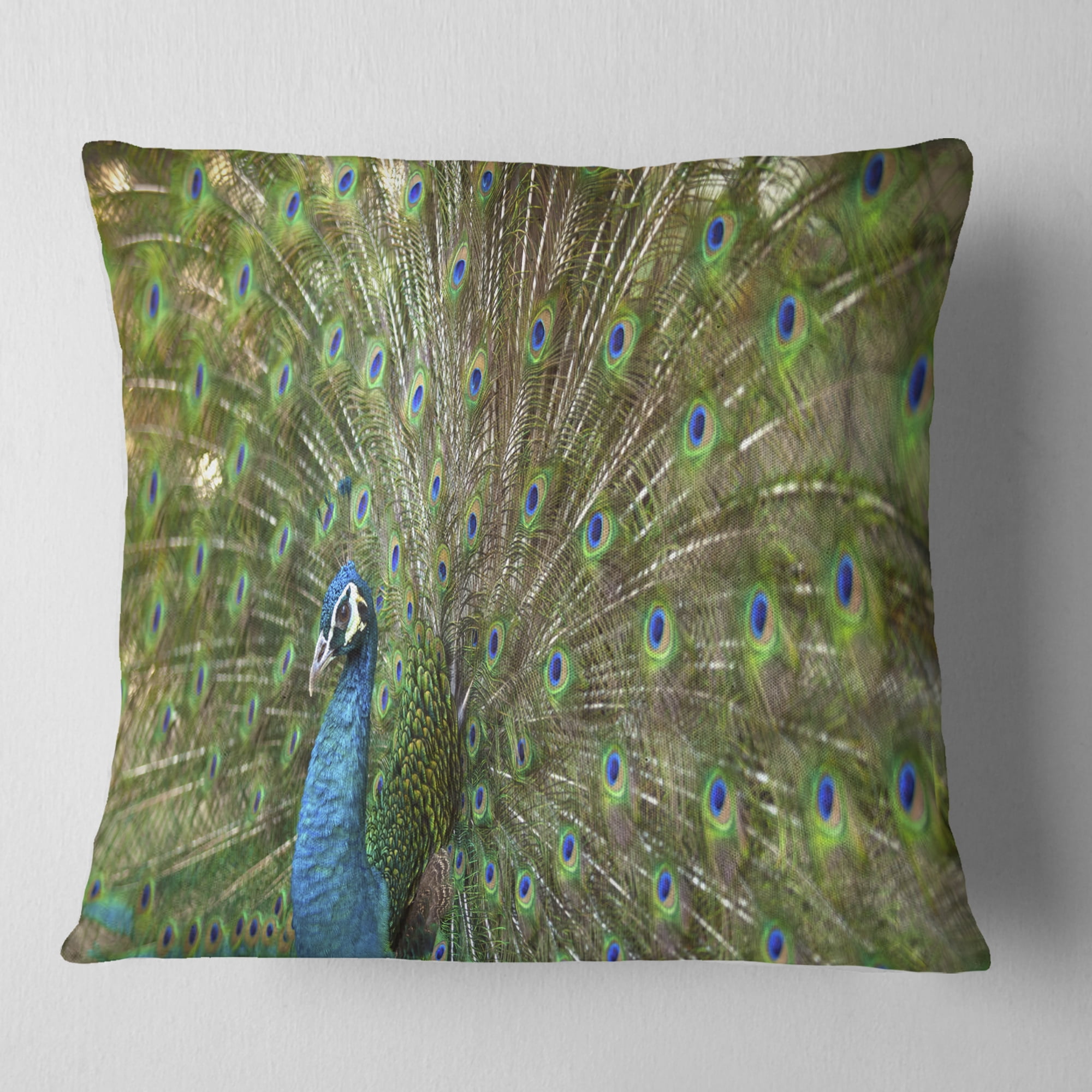 Designart Beautiful Peacock with Feathers - Animal Throw Pillow - 18x18