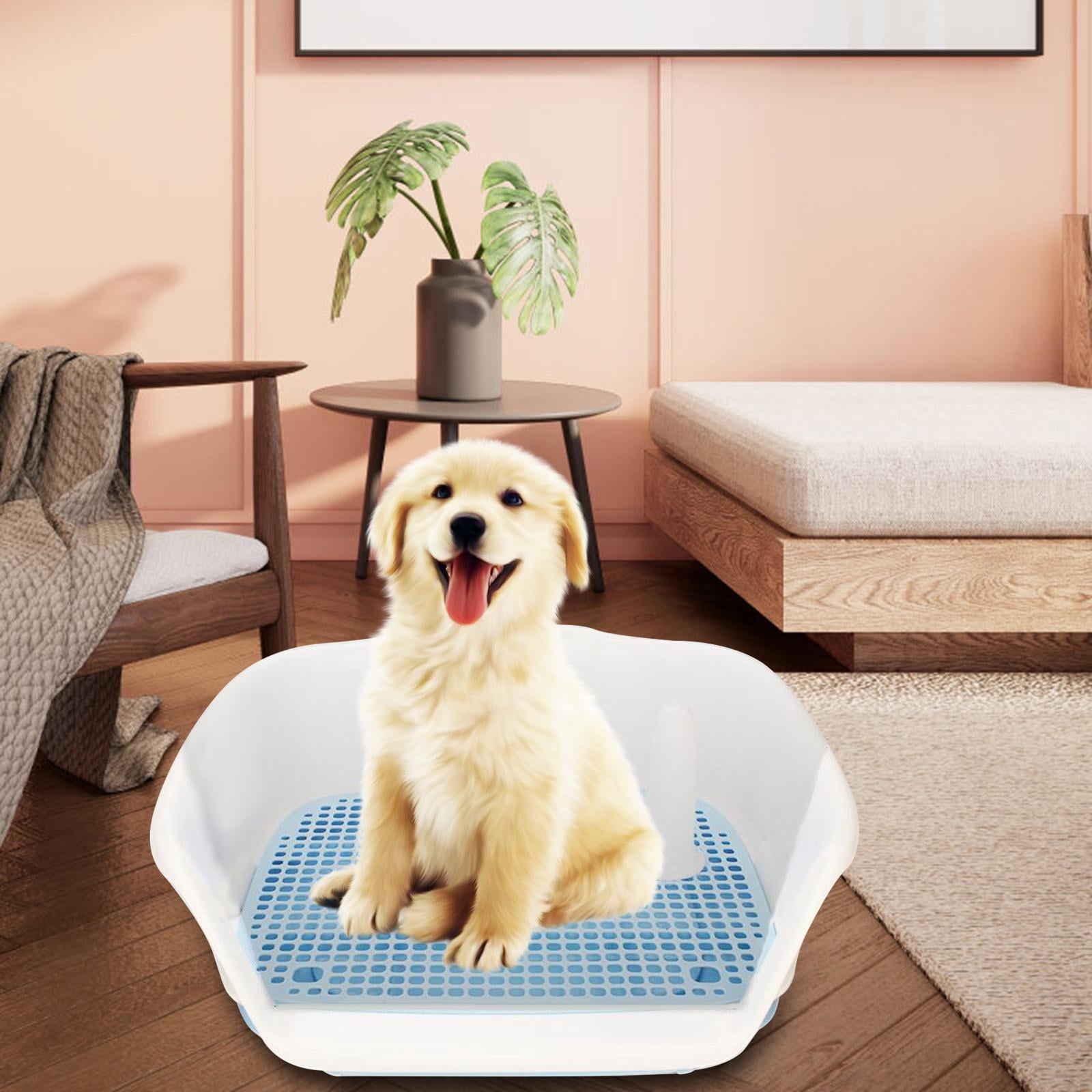 Indoor Dog Potty Tray Small Dog Urinal Keep Floors Clean with Fence Pee
