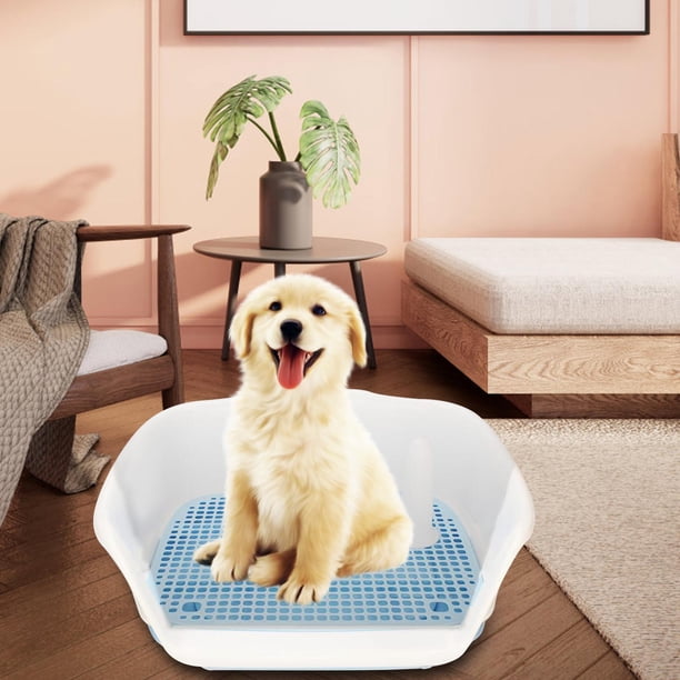 Inodoro con bandeja de arena Colco para Perros Pequeños Azul