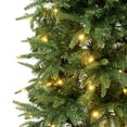 thumbnail image 3 of National Tree Company  6 ft. Feel-Real Duxbury Slim Tree with Warm White LED Lights - 6 ft, 3 of 3