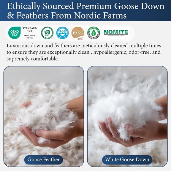 Luxury Goose Feathers Down Pillows Queen Size Set of 2 with Two-Sided Pillowcase