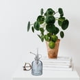 thumbnail image 3 of HONITANO Vintage Glass and PP Small Watering Can for Plants with Transparent Body Perfect for Home Office, 3 of 6