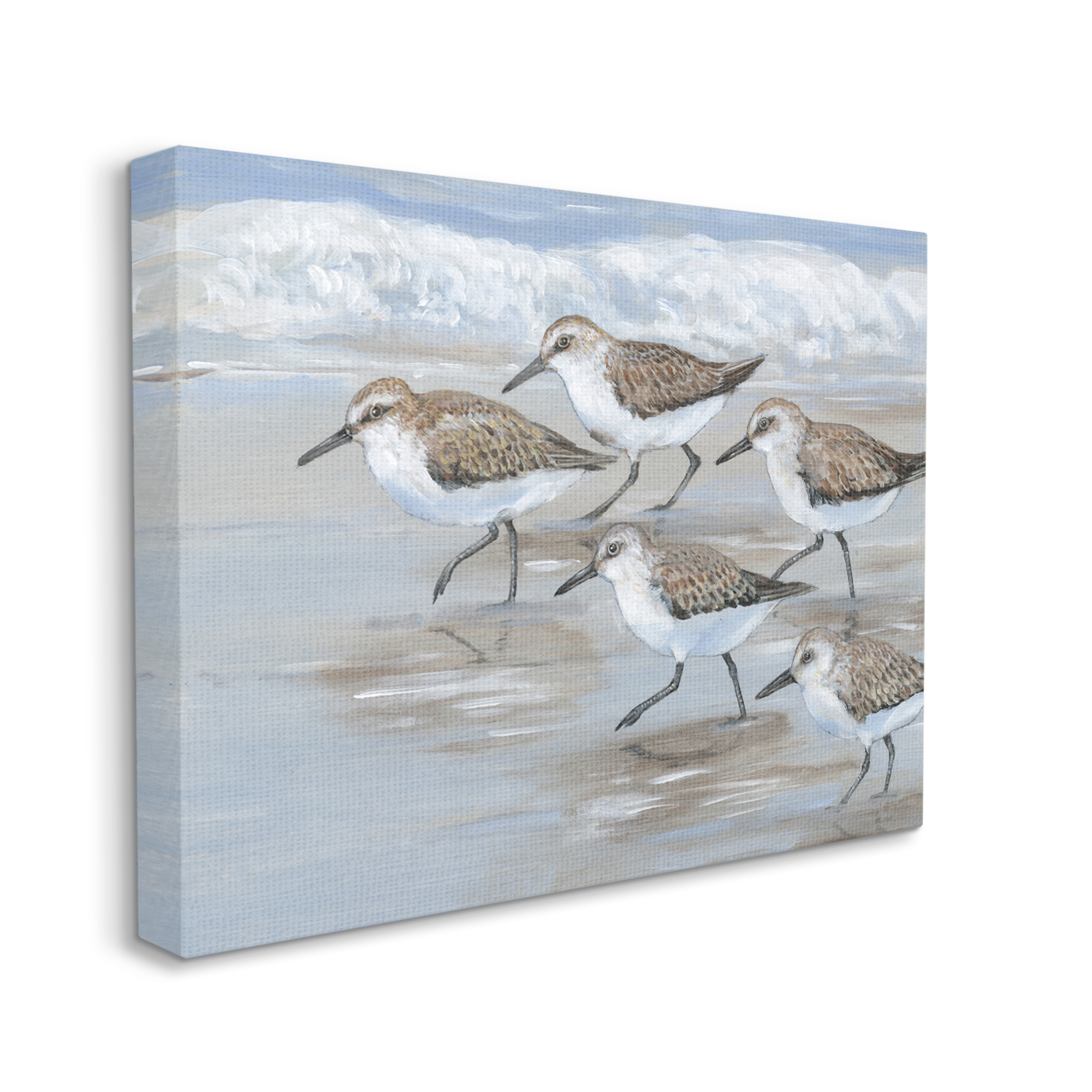 Stupell Industries Sandpiper Bird Flock Marching Beach Coast Waves , 48 x 36,Design by Tim OToole