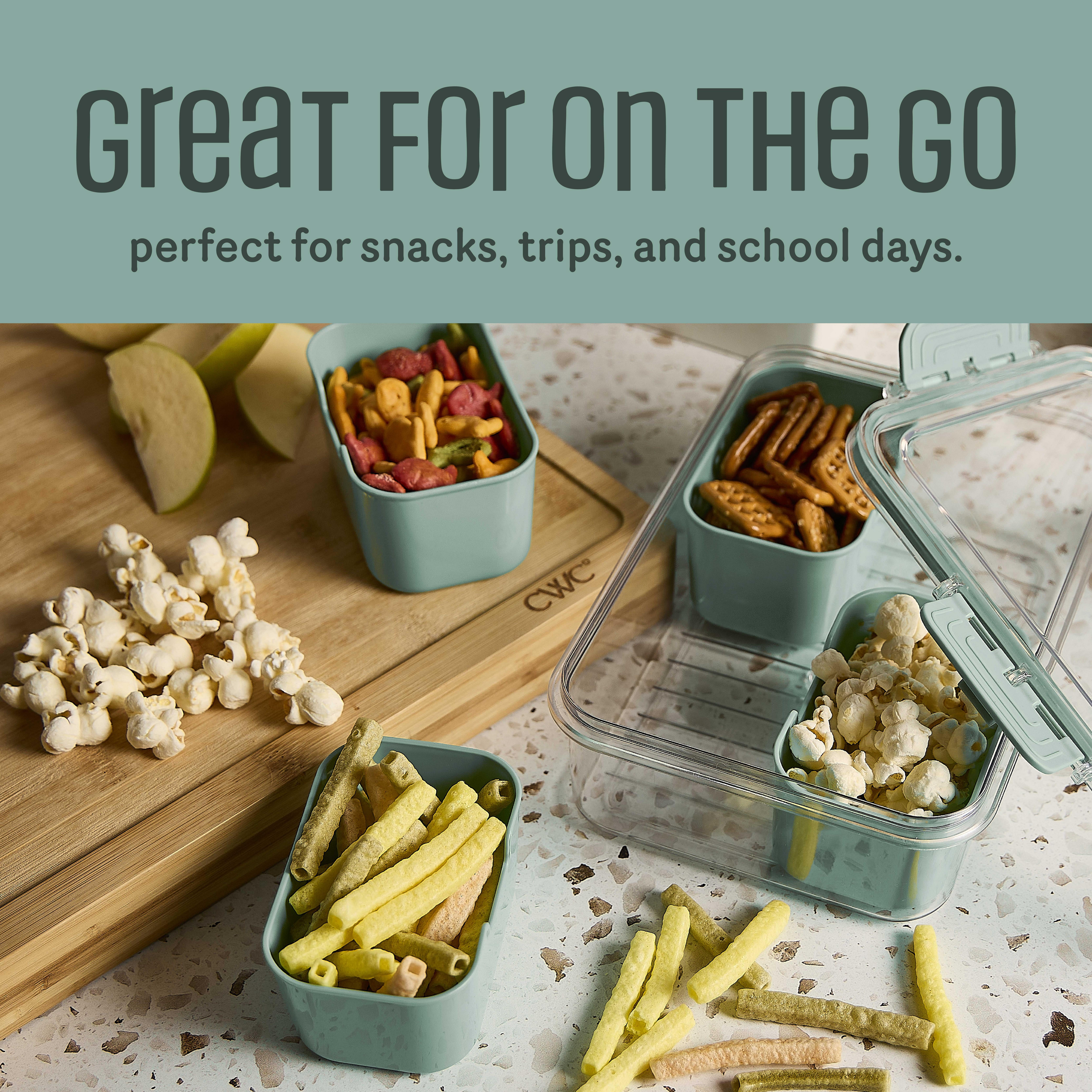 Cook with Color 4-Compartment Mini Snack Box Food Storage Carrier, Charcuterie Container with Ice Pack, Portable and Dishwasher Safe, Sage