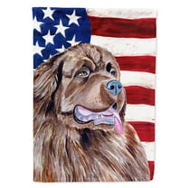 USA American Flag with Newfoundland Garden Flag