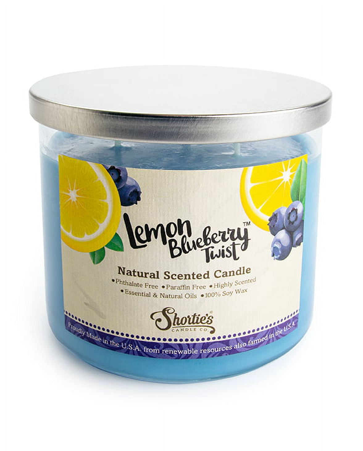 Lemon Blueberry Twist Scented 3 Wick Candle - All Natural - Made with 100% Responsibly Sourced Soy and Essential Fragrance Oils - Phthalate & Paraffin Free, Vegan, Non-Toxic