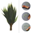 thumbnail image 2 of BRIGHTFUFU 1 bolsa de hojas de sushi, decoraciones japonesas para cupcakes, decoración de plato de sashimi, simulación de hojas de sushi, hojas falsas, decoración de plato de sushi, 2 of 7
