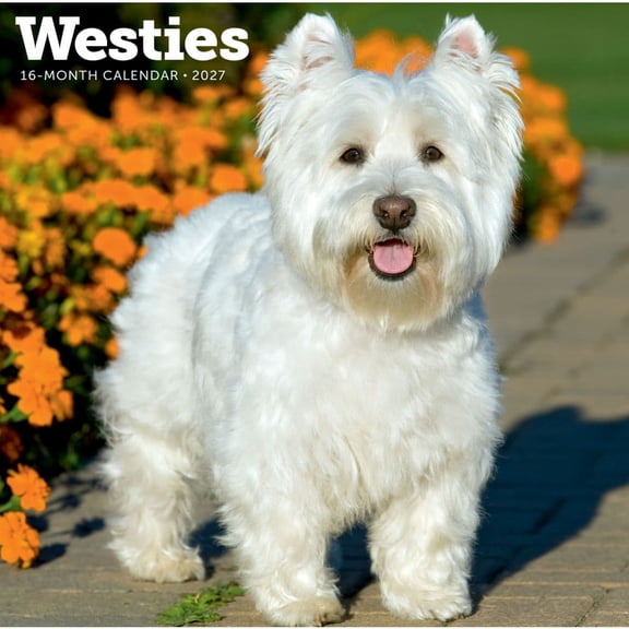 Carousel Calendars, Westies 2027 Wall Calendar
