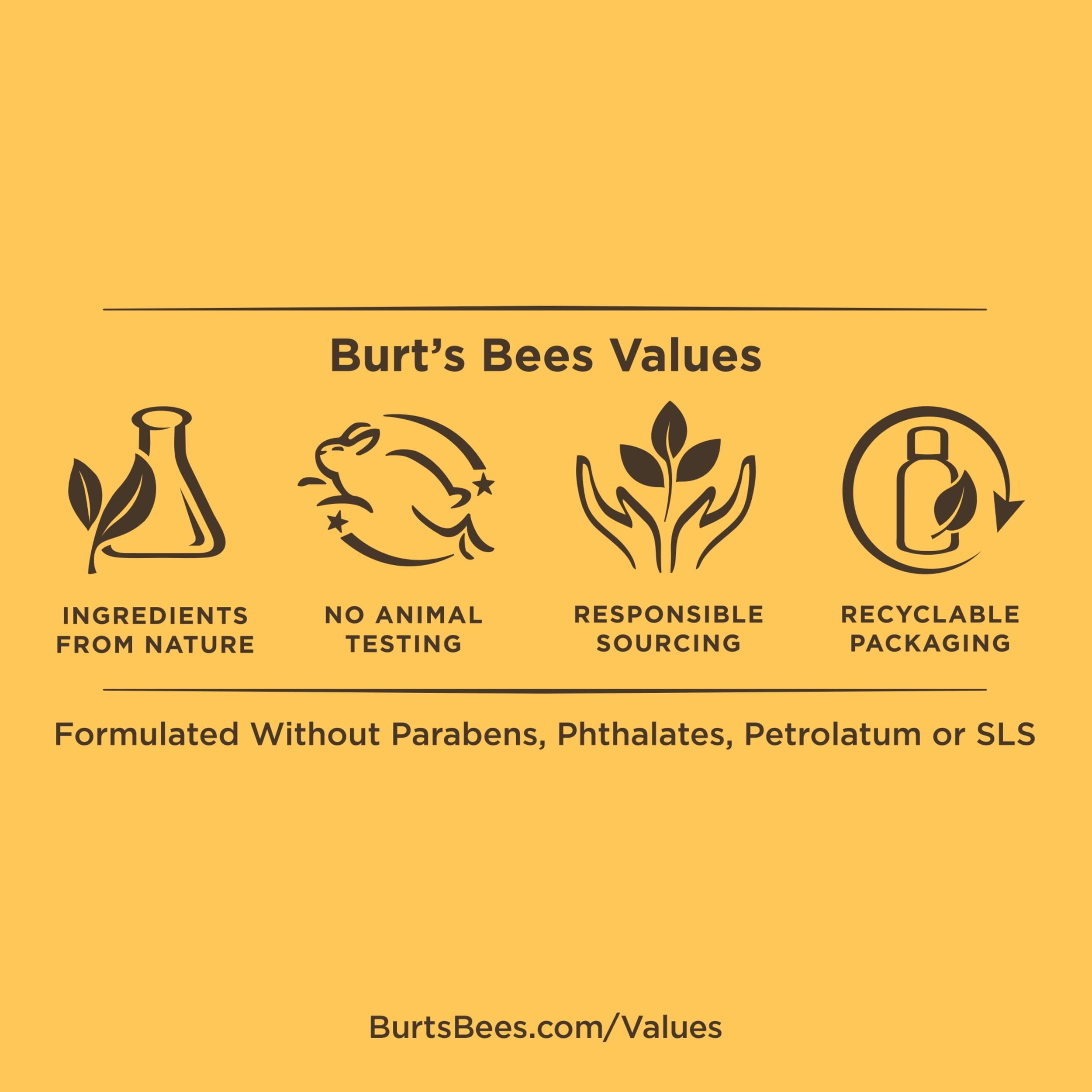 Burt's Bees® 100% Natural Moisturising Lip Balm Beeswax and Honey 4 Pack