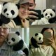 thumbnail image 4 of Stuffed Animal Pandas Huggable Plush Pandas Toy Cute Stuffed Animal Doll Emotional Soothing Companion, 4 of 5