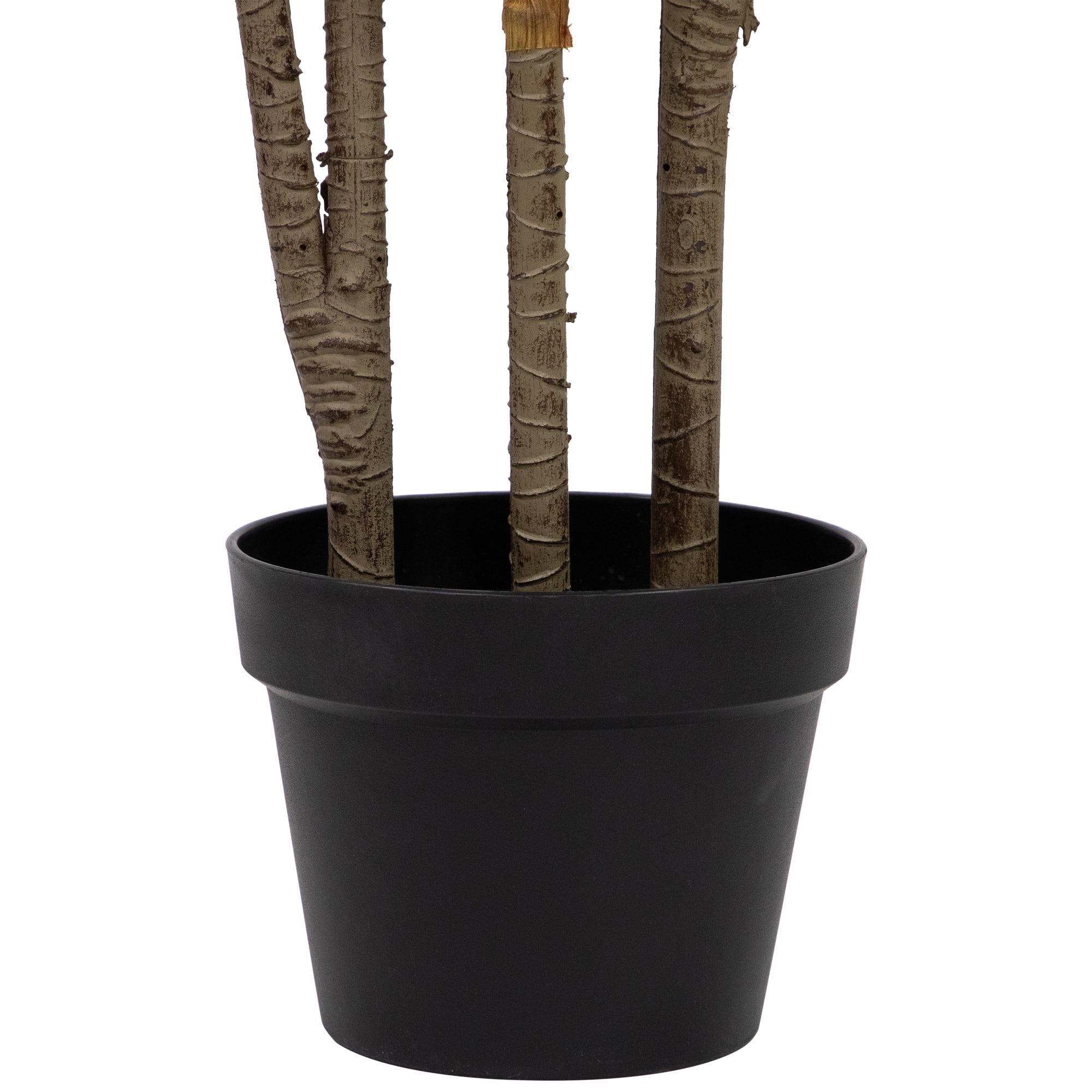Northlight 55" Artificial Plastic Dracaena Potted Plant, Green