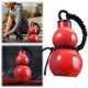 thumbnail image 3 of Botella Calabaza Bebida 800ml Con Correas Wu para Al Aire Libre () Rojo, 3 of 9