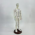 thumbnail image 1 of BELOVING 21.2inch Tall Model Accessory for Professionals Human Body Model Male, 1 of 9