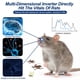 thumbnail image 4 of Bewildely ABS potente ratón ratones rata murciélago repelente ondas ultrasónicas de alta frecuencia inofensivas para el cuerpo humano Jardín y Patio negro Enchufe europeo, 4 of 6