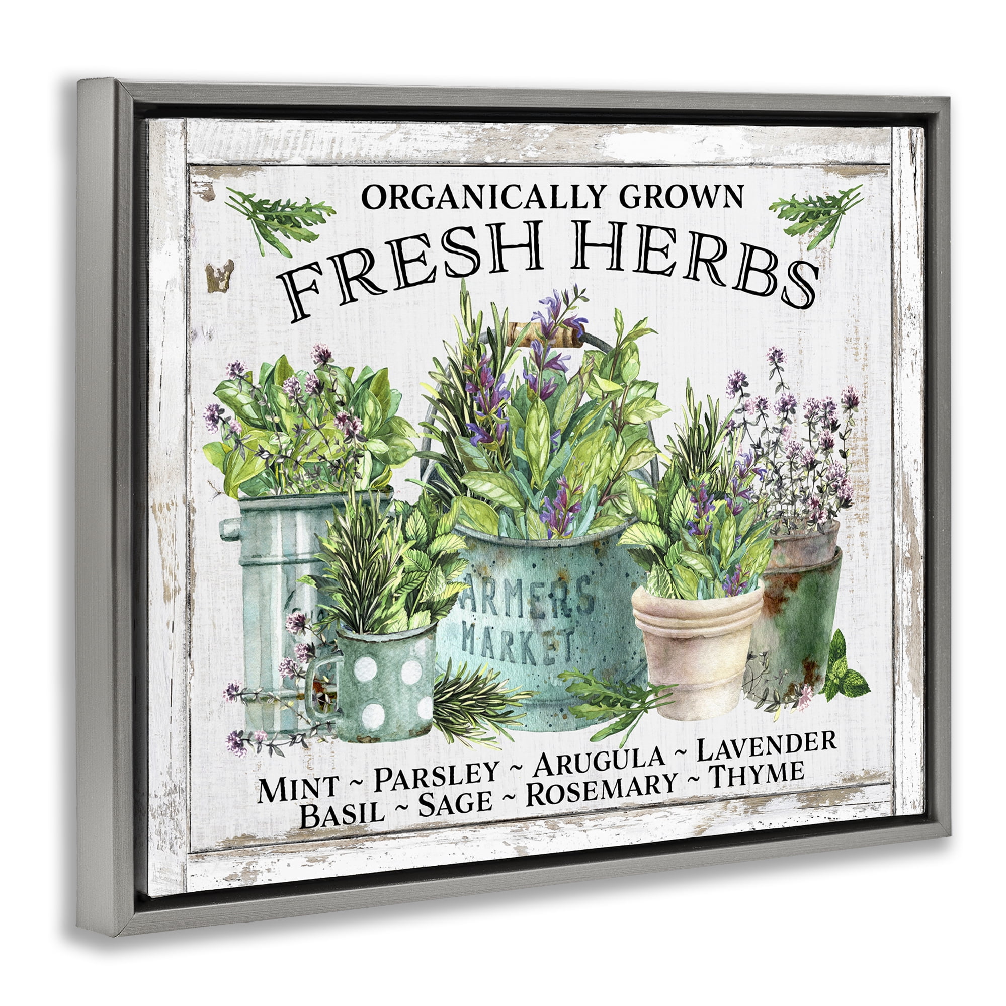 Stupell Industries Organic Fresh Herbs Plants & Flowers Painting Gray Floater Framed Canvas Art Print Wall Art, 31 x 25