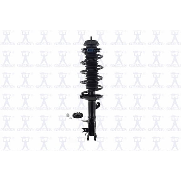 Suspension Strut and Coil Spring Assembly