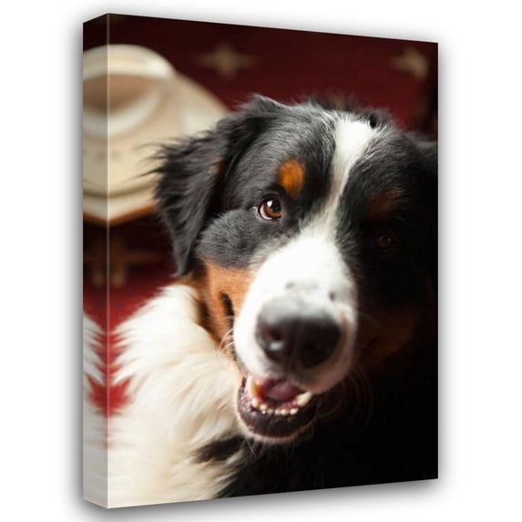 Karyn Millet 13x18 Gallery Wrapped Canvas Wall Art Titled - Ranch Dog