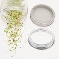 thumbnail image 6 of Himition 4pcs Mason Jar Sprouting Rings Stainless Steel Sprouting Rings For Regular Mouth Jars Regular Mouth Canning Jar Replacement Metal Rings Practical Screw Jar Bands, 6 of 6
