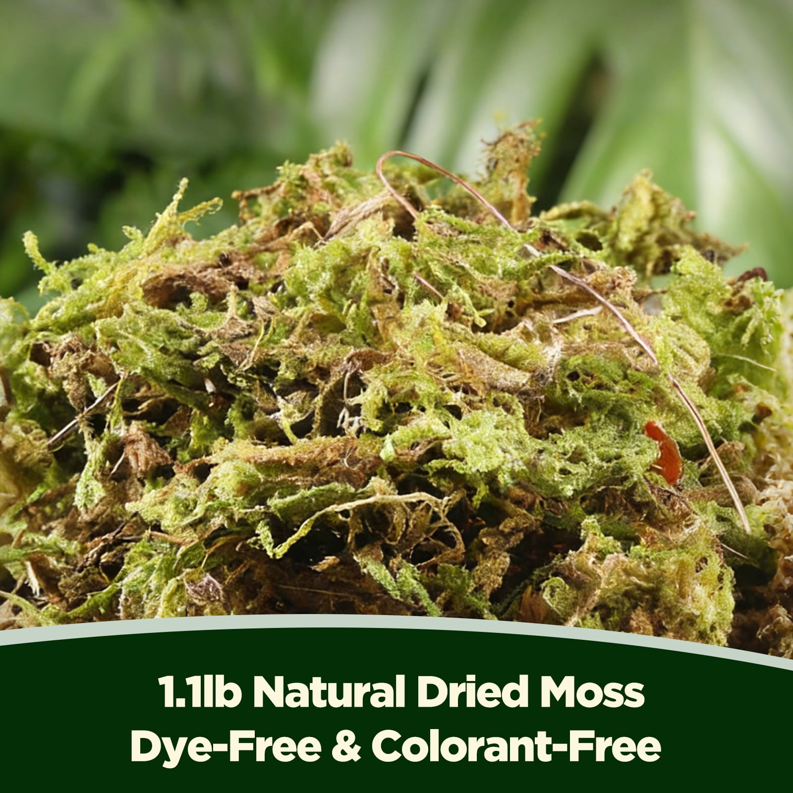 1.1 LBS Decorative Preserved Moss, Natural Green Faux Moss for Crafts, Potted Plants, Terrariums, Centerpieces and Home Decor FM-01