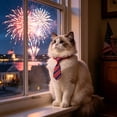 thumbnail image 7 of Yhmxh 4th of July Pet Necktie, Adjustable American Flag Collar Bows Patriotic Red White Blue Star Stripes Dog Cat Bow Tie Collar, Cute Independence Day Pet Costume Accessory for Small Medium Pets, 7 of 7