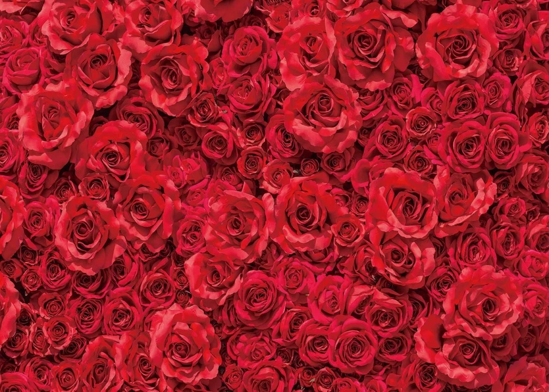 BUTTERFLY- Valentine'S Day Rose Backdrop Red Flower Wall Photography Background Wedding Bri