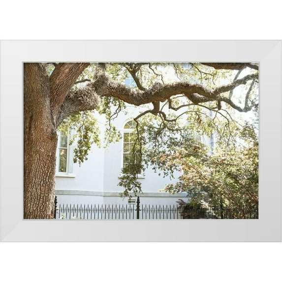 Murdock, Ramona 24x17 White Modern Wood Framed Museum Art Print Titled - Charleston Garden Windows III