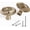 Matte Gold, variant on Flower Cabinet Pulls Handle Knob Drawer for Kitchen Dresser Wardrobe Bathroom and CupboardHole to Hole Hardware Knob Easy Installation x Champagne Bronze with Backplate