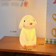 thumbnail image 1 of Small Lovely Rabbit Shaped Night Lamp/Gift for Friends, 1 of 2